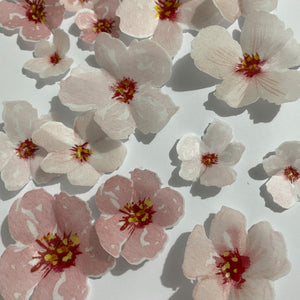 Edible Wafer Pre-cut Cherry Blossom Flowers