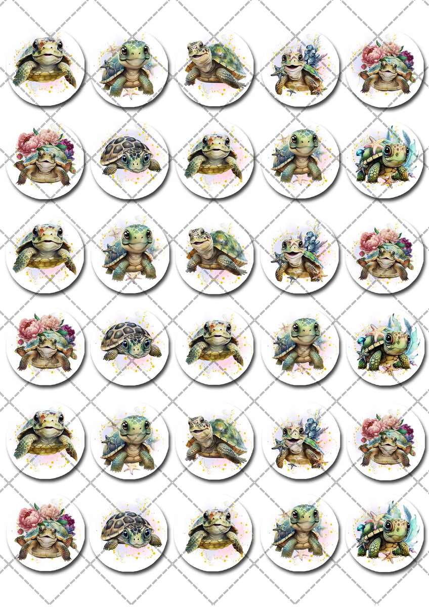 Cute Turtles Under The Sea Themed Mini Edible Icing Cupcake Toppers in Mandurah and Perth