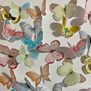 Multicoloured Pre-cut Edible Wafer Butterflies