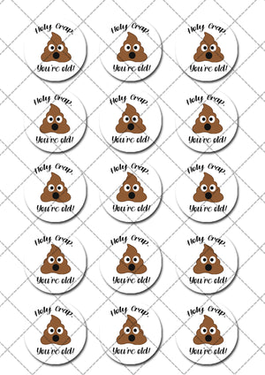 Holy Crap You're Old Pre-cut Edible Cupcake or Cookie Toppers