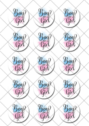 Baby Shower Gender Reveal Pre-cut Edible Icing Cupcake or Cookie Toppers