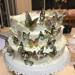 Multicoloured Pre-cut Edible Wafer Butterflies