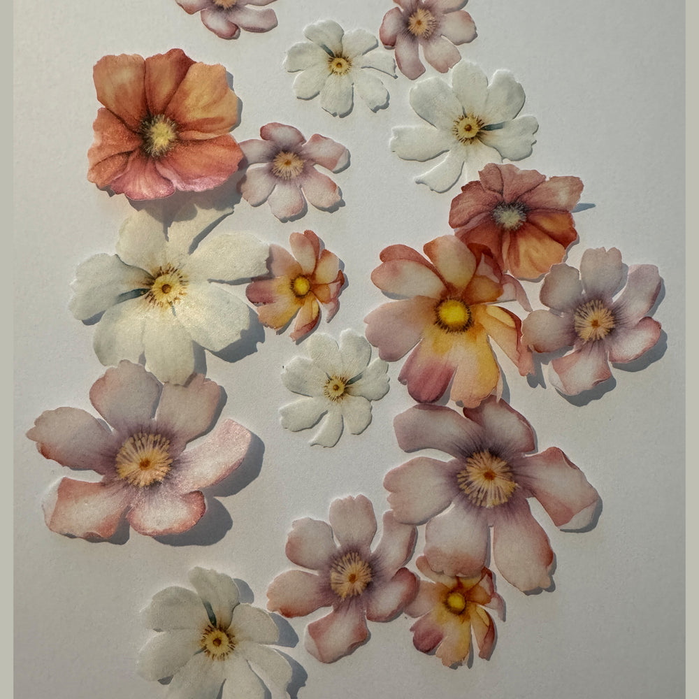 Multicoloured Pre-cut Edible Wafer Flowers