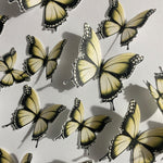 Yellow & Black Pre-cut Edible Wafer Butterflies