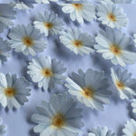 Pre-cut Edible Wafer Daisies Flowers