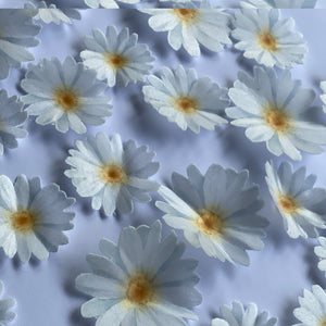 Pre-cut Edible Wafer Daisies Flowers