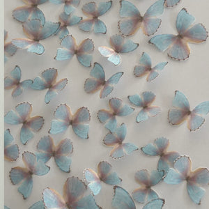 Pink & Blue Pre-cut Edible Wafer Butterflies