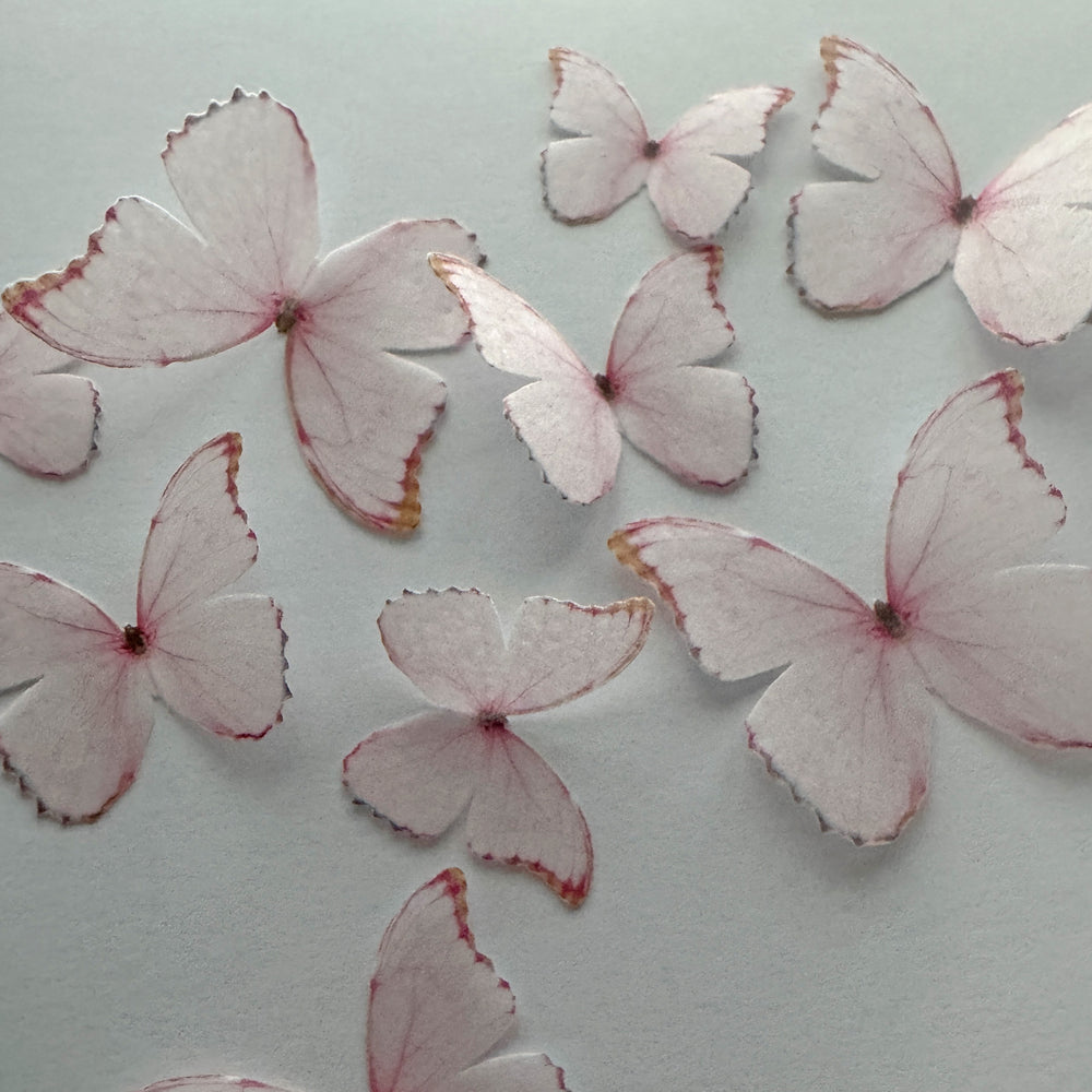 Light Pink Pre-cut Edible Wafer Butterflies