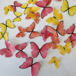 Pink, Orange & Yellow Pre-cut Edible Wafer Butterflies