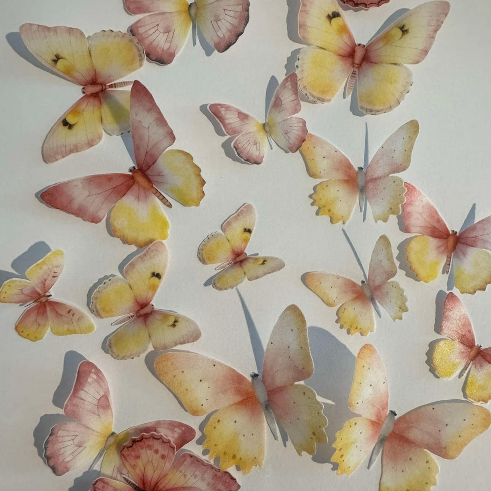 Pink & Yellow Pre-cut Edible Wafer Paper Butterflies