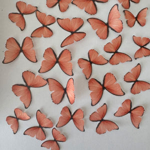 Bright Orange Pre-cut Edible Wafer Butterflies