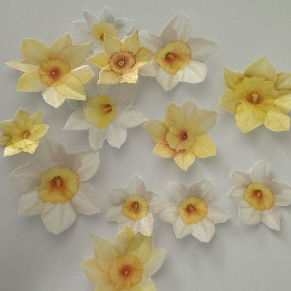 Edible Pre-cut Yellow Wafer Daffodil Flowers