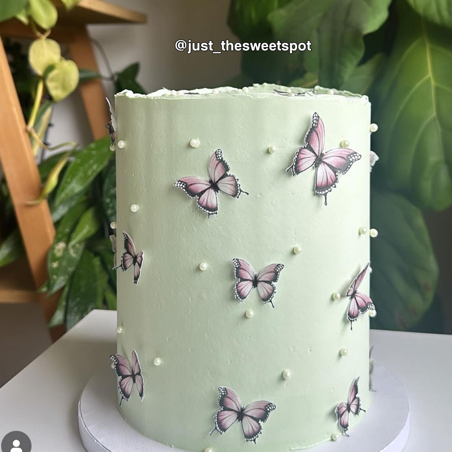 Pink & Black Pre-cut Edible Wafer Butterflies