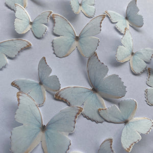 Blue Pre-cut Edible Wafer Butterflies