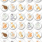 Woodland Animals Baby Shower Pre-cut Mini Edible Cupcake or Cookie Toppers