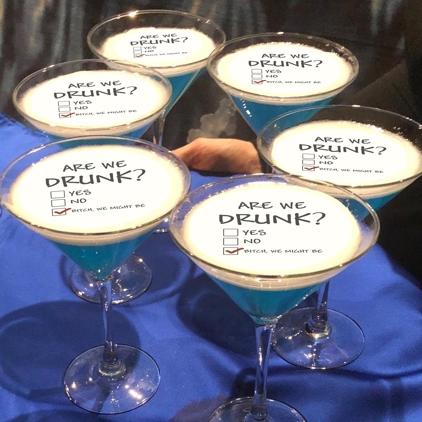 Are We Drunk Funny Edible Cocktail Drink Toppers