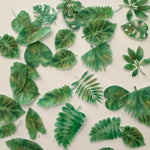 Edible Pre-cut Wafer Greenery Jungle Ferns Leaves