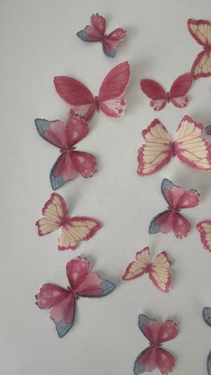 
            
                Load and play video in Gallery viewer, Pink Yellow &amp;amp; Blue Pre-cut Edible Wafer Butterflies
            
        