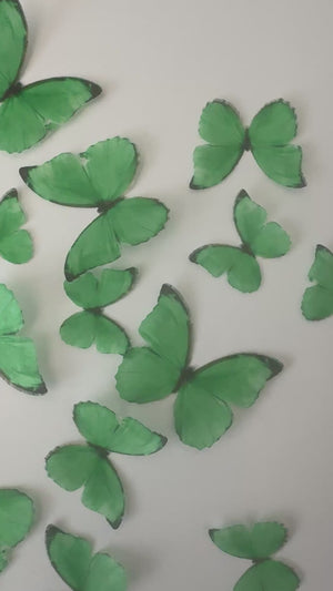 
            
                Load and play video in Gallery viewer, Bright Green Pre-cut Edible Wafer Butterflies
            
        