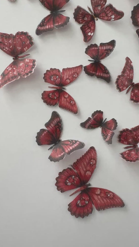 
            
                Load and play video in Gallery viewer, Dark Red Pre-cut Edible Wafer Butterflies
            
        