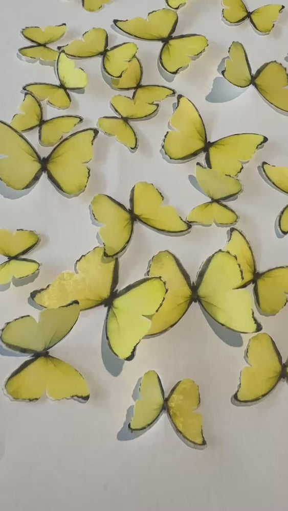 
            
                Load and play video in Gallery viewer, Bright Yellow Pre-cut Edible Wafer Butterflies
            
        