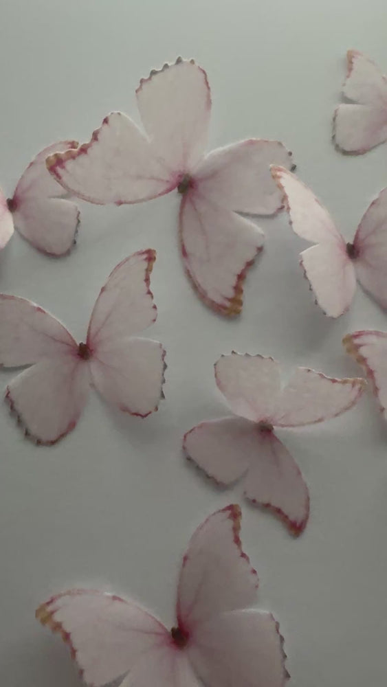
            
                Load and play video in Gallery viewer, Light Pink Pre-cut Edible Wafer Butterflies
            
        