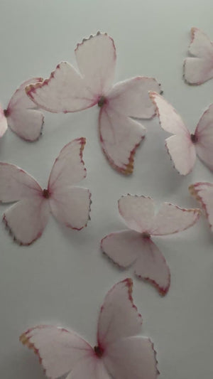 
            
                Load and play video in Gallery viewer, Light Pink Pre-cut Edible Wafer Butterflies
            
        