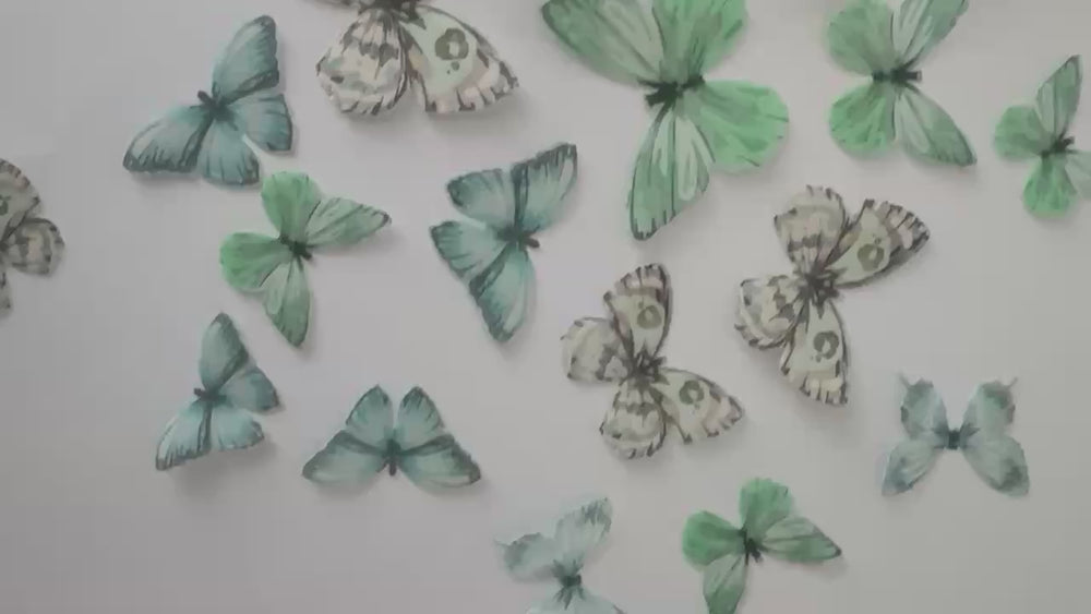 
            
                Load and play video in Gallery viewer, Green Pre-cut Edible Wafer Butterflies
            
        