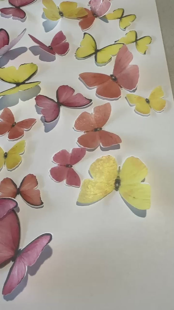 
            
                Load and play video in Gallery viewer, Pink, Orange &amp;amp; Yellow Pre-cut Edible Wafer Butterflies
            
        