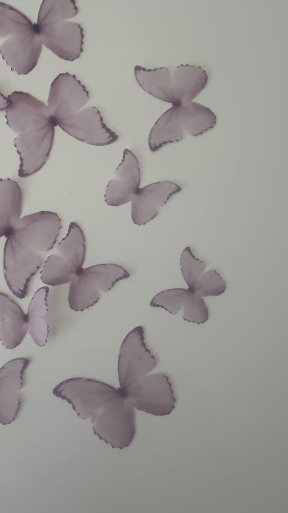 
            
                Load and play video in Gallery viewer, Light Purple Pre-cut Edible Wafer Butterflies
            
        