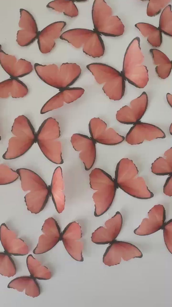 
            
                Load and play video in Gallery viewer, Bright Orange Pre-cut Edible Wafer Butterflies
            
        