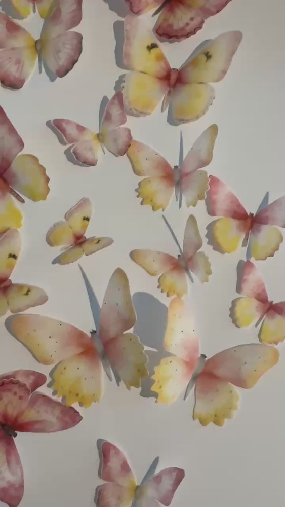 
            
                Load and play video in Gallery viewer, Pink &amp;amp; Yellow Pre-cut Edible Wafer Paper Butterflies
            
        