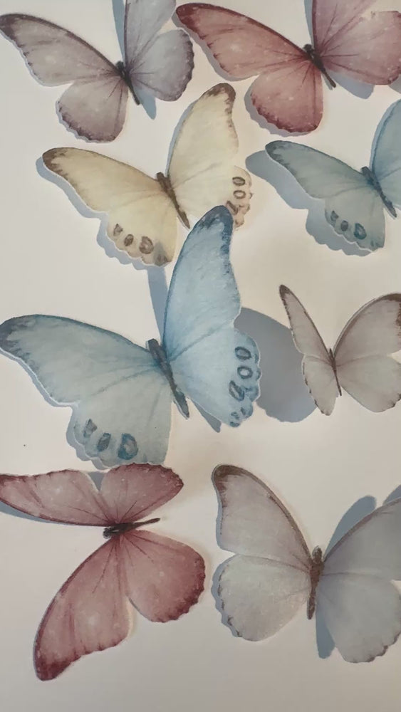 
            
                Load and play video in Gallery viewer, Multicoloured Pre-cut Edible Wafer Butterflies
            
        