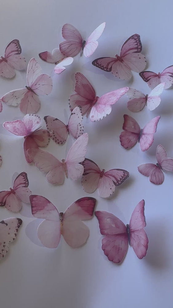 
            
                Load and play video in Gallery viewer, Pink Pre-cut Edible Wafer Butterflies
            
        