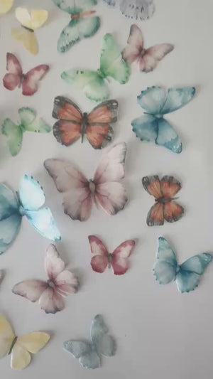 
            
                Load and play video in Gallery viewer, Multi-coloured Pre-cut Edible Wafer Butterflies
            
        