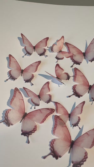 
            
                Load and play video in Gallery viewer, Light Red Pre-cut Edible Wafer Butterflies
            
        