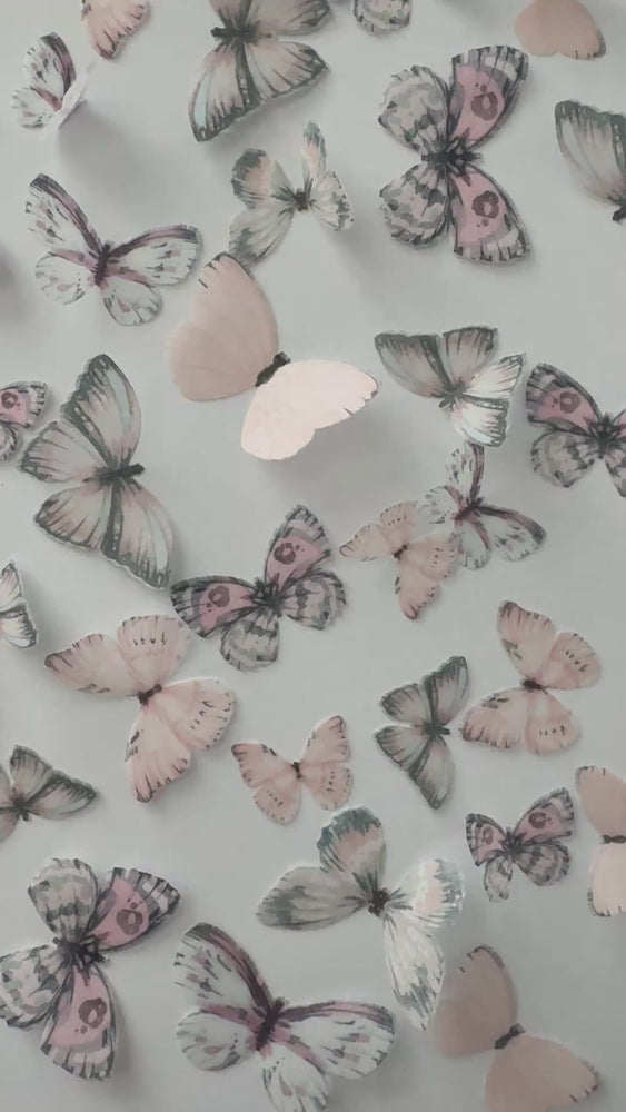 
            
                Load and play video in Gallery viewer, Pink Pre-cut Edible Wafer Paper Butterflies
            
        