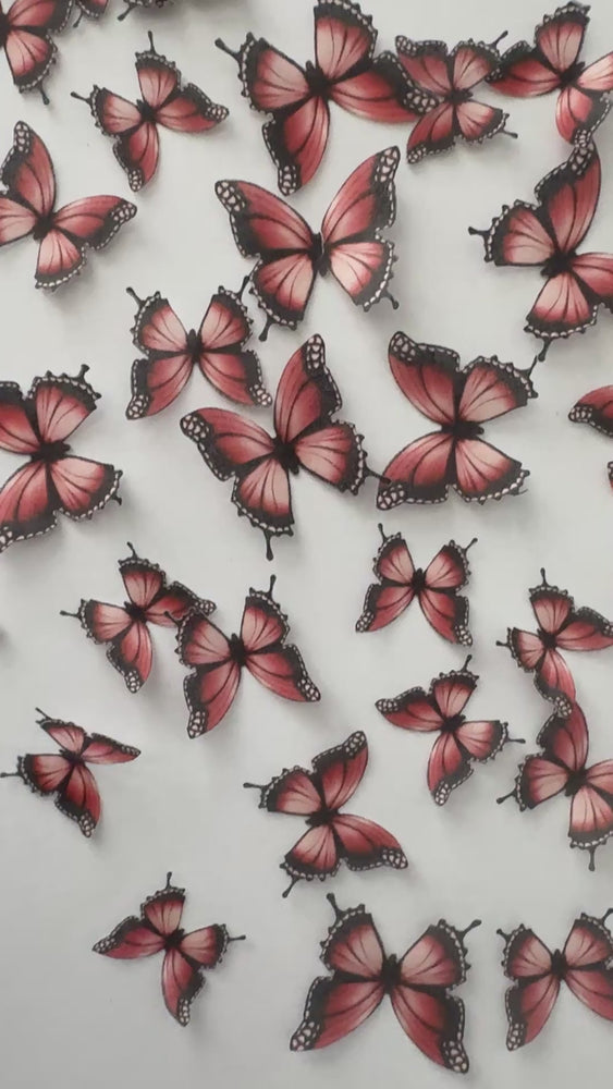 
            
                Load and play video in Gallery viewer, Orange &amp;amp; Black Pre-cut Edible Wafer Butterflies
            
        