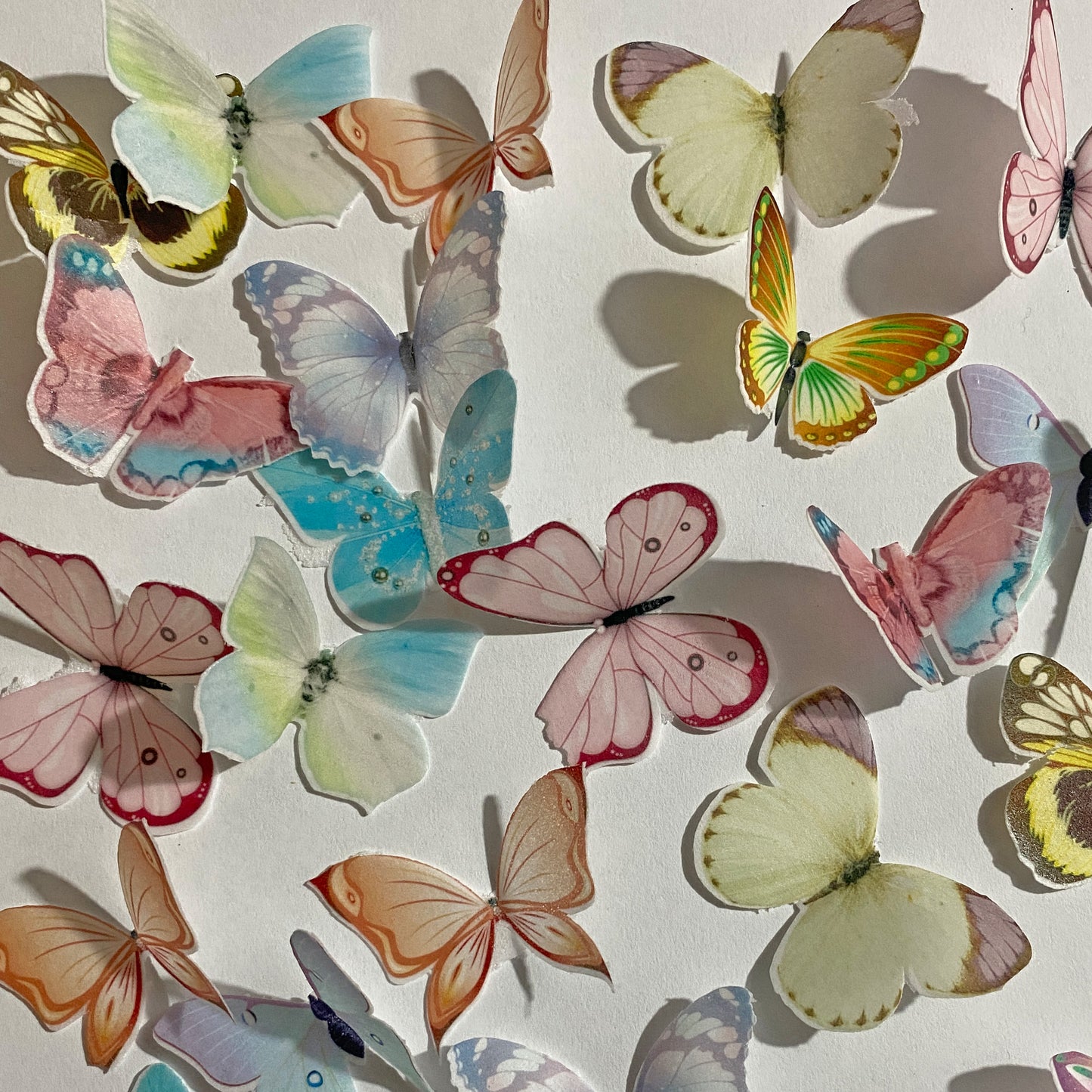Multicoloured Pre-cut Edible Wafer Butterflies