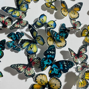 Mixed Coloured Pre-cut Edible Wafer Butterflies
