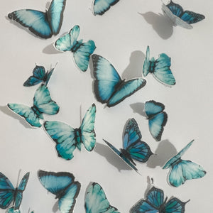 Green & Blue Pre-cut Edible Wafer Butterflies