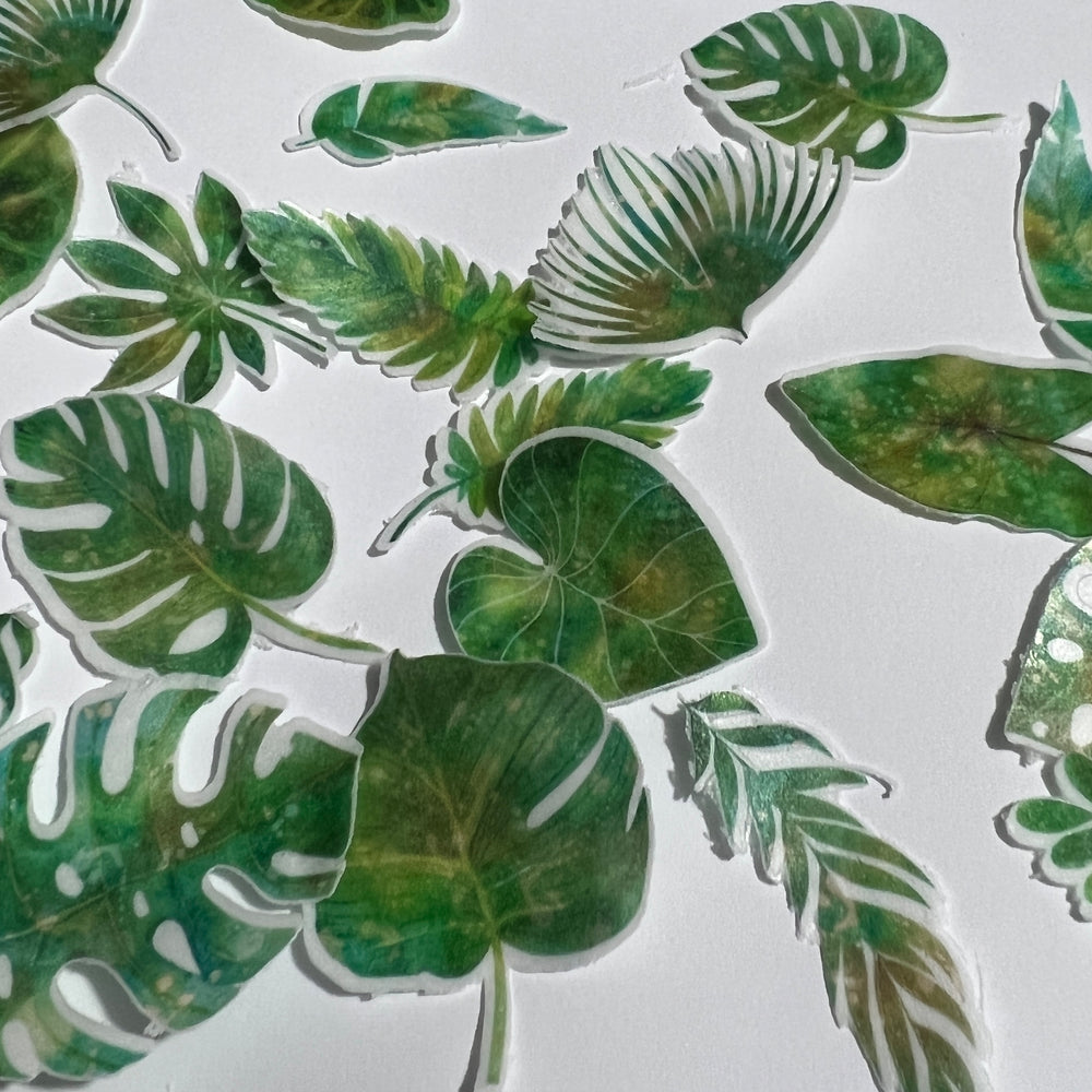 Edible Pre-cut Wafer Greenery Jungle Ferns Leaves
