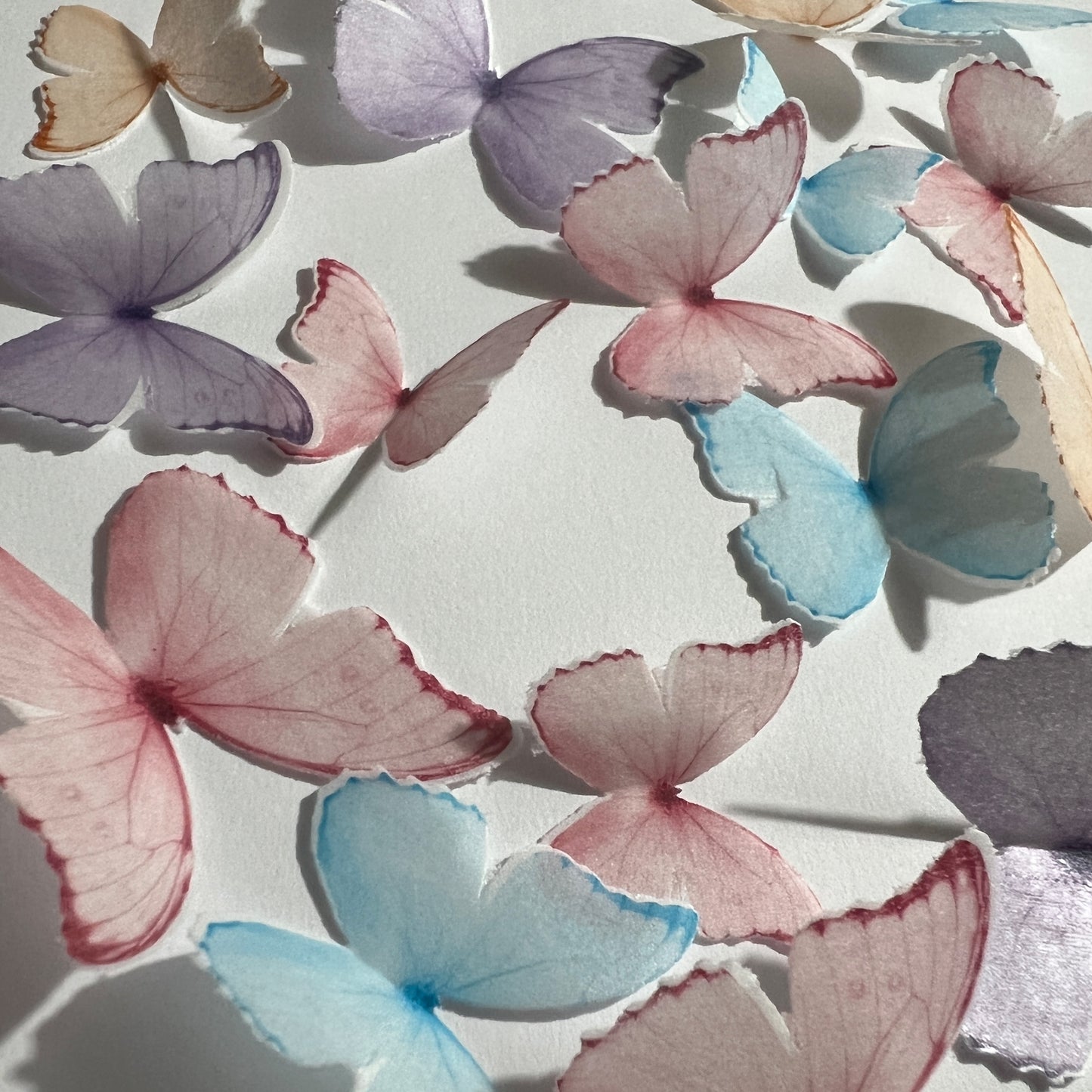 Multicoloured Bright Pre-cut Edible Wafer Butterflies